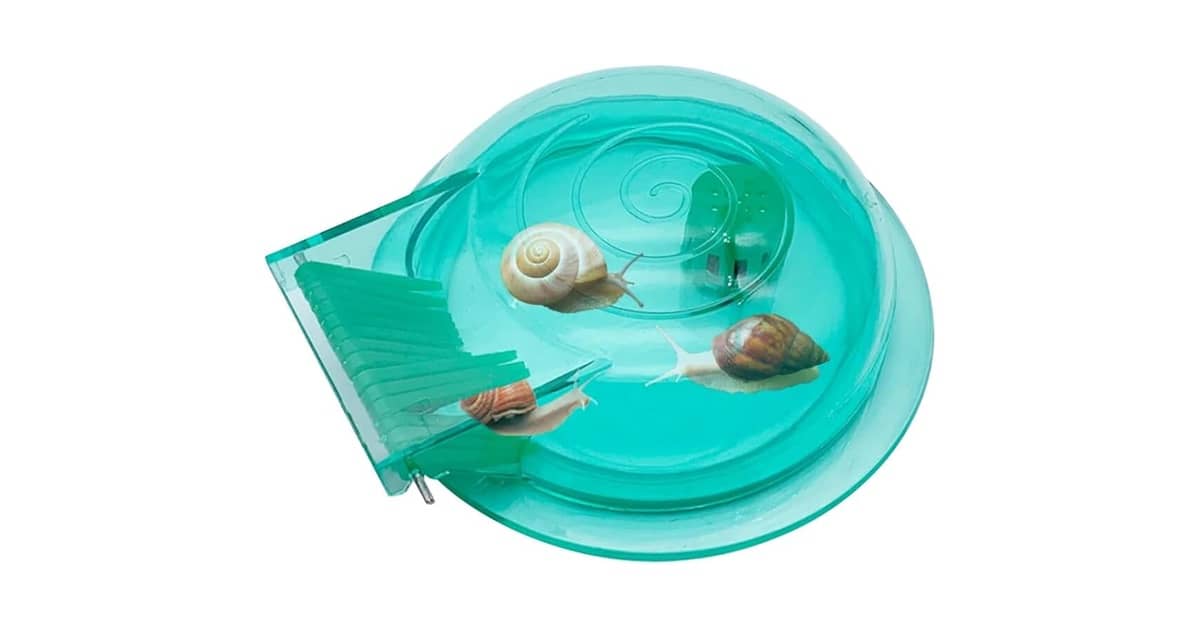 Melhores caracóis para limpeza de aquário: Guia de Controle e Limpeza