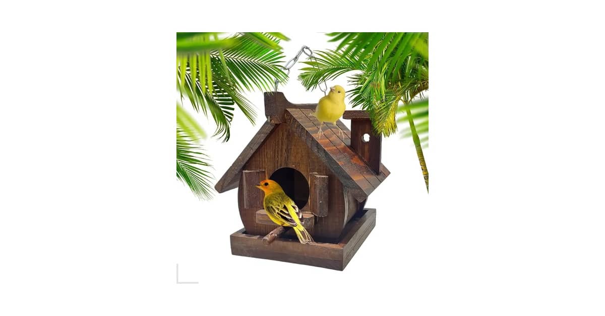 Melhores Casas de Passarinho Para Jardim: Qual a Ideal?