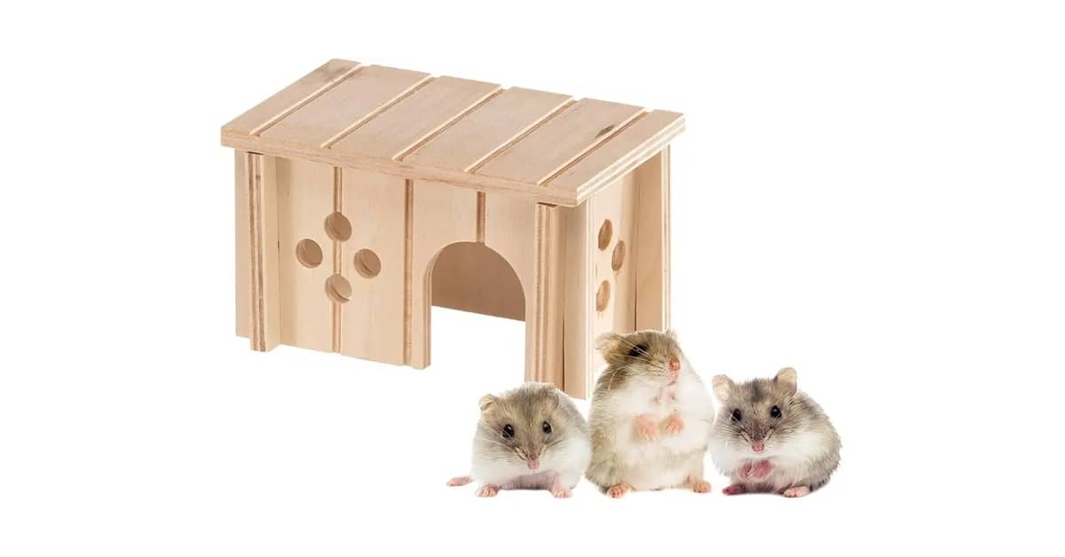 Melhores Casinhas Para Hamster: Com Tubos ou Andares?