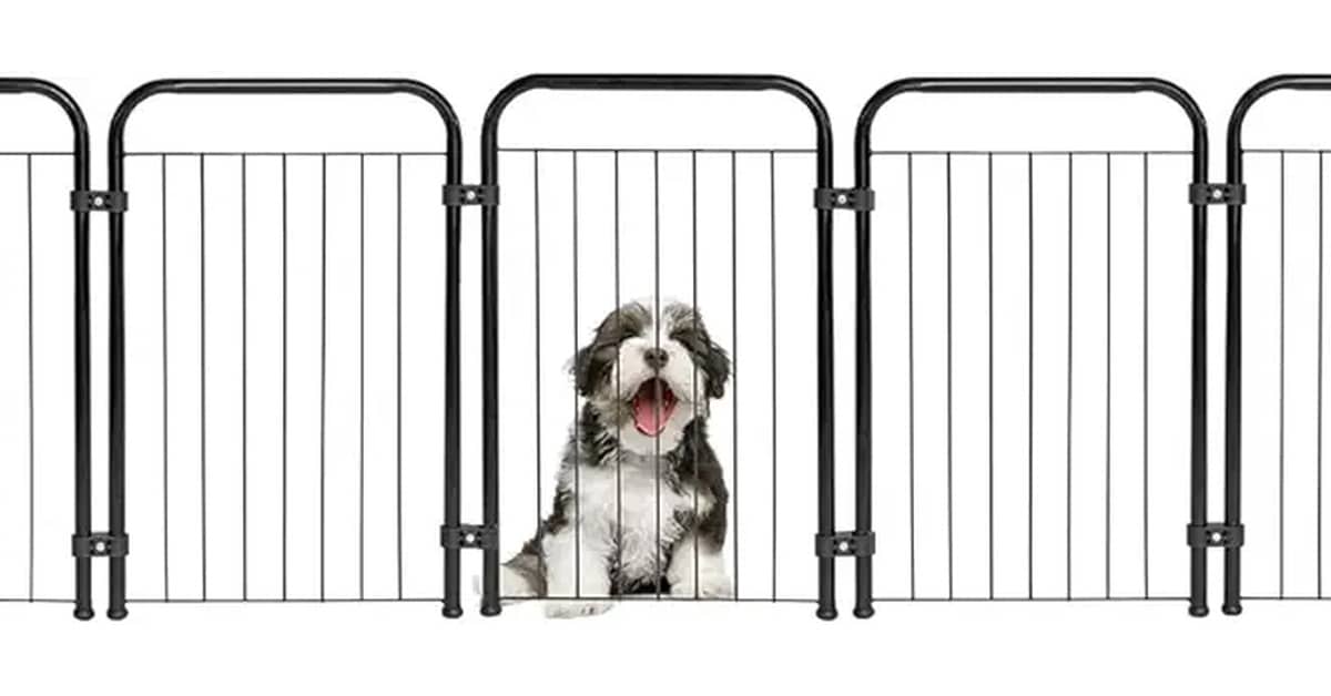 Melhores Cercados para Cachorro: Portáteis ou Fixos?
