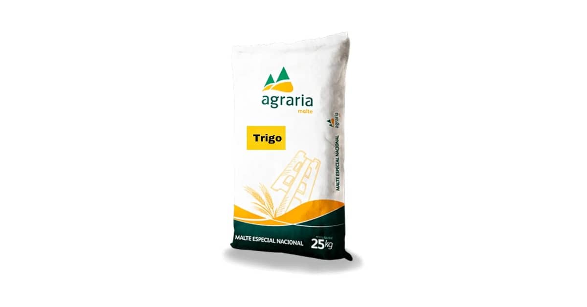 Melhores Cervejas de Trigo com Notas de Especiarias: Qual Comprar?