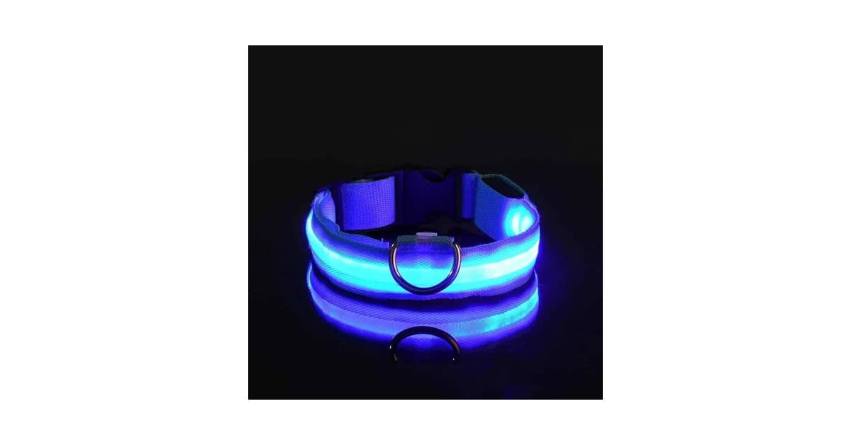 Melhores Coleiras Luminosas Para Passeios Noturnos