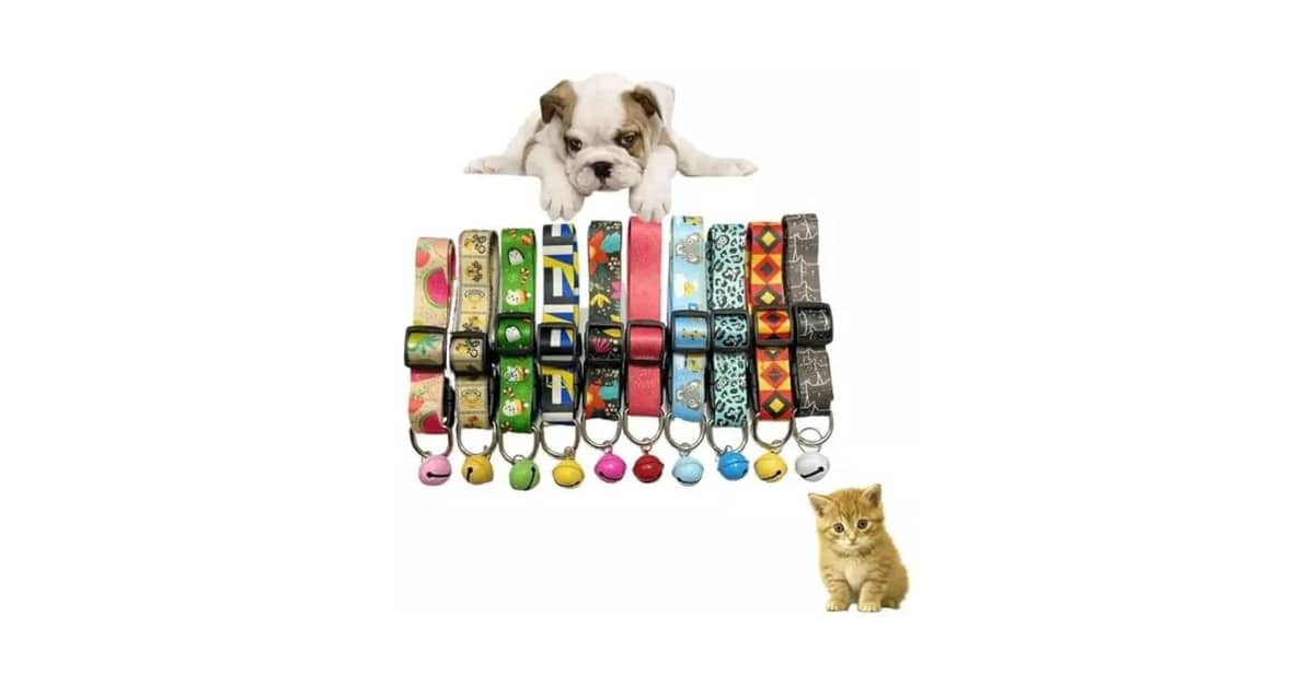 Melhores coleiras para cachorro com estampa divertida: 5 Modelos de Estilo