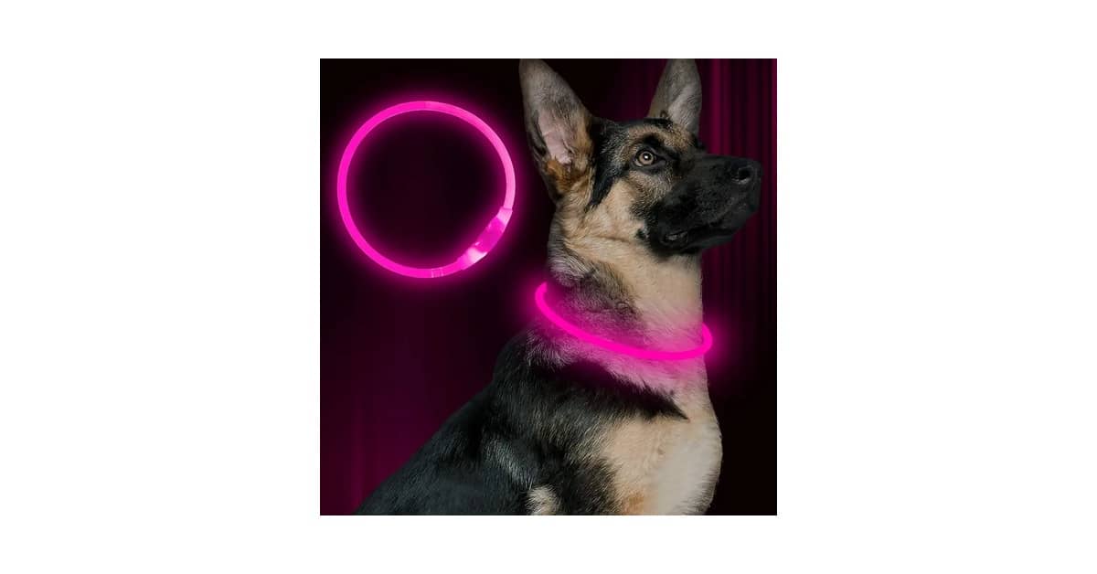 Melhores Coleiras Para Cachorro Com Led: 9 Opções