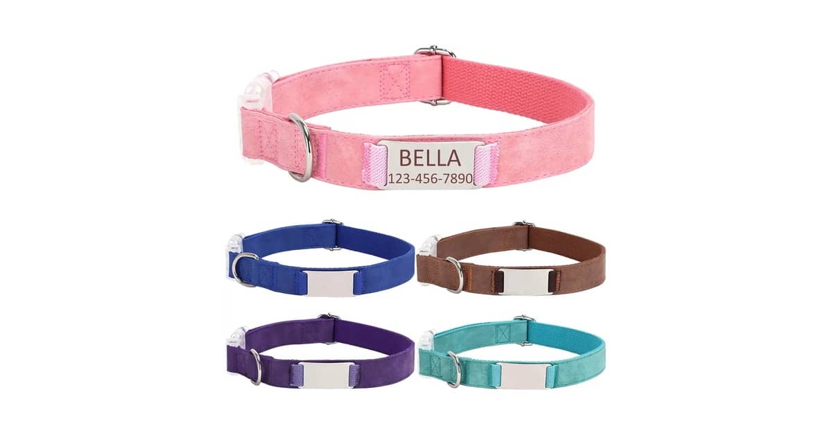 Melhores Coleiras Para Cachorro Com Nome E Telefone: Guia De Compra