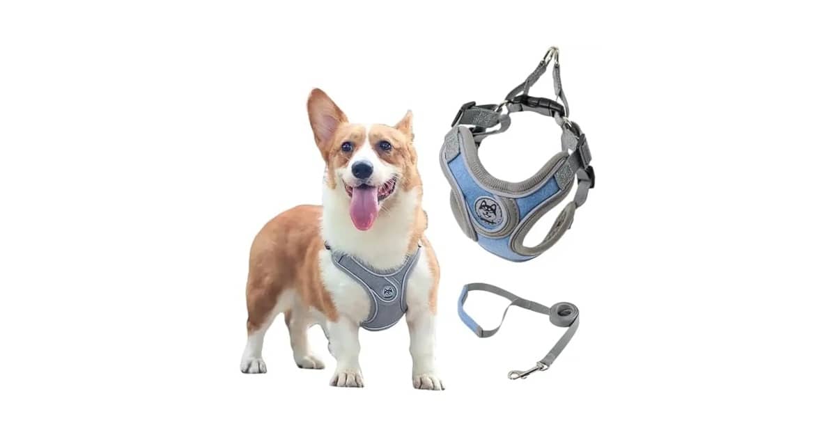 Melhores Coleiras Para Cachorro com Peitoral e Guia: Qual Escolher?
