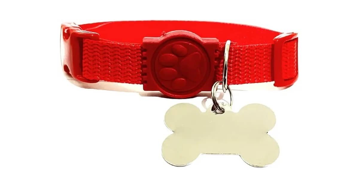 Melhores Coleiras Para Cachorro Com Placa De Identificação Gravada: Qual A Mais Segura?