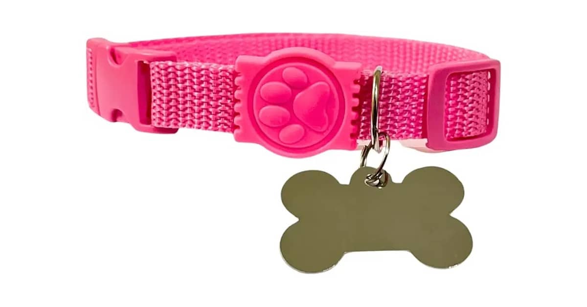 Melhores Coleiras Para Cachorro Com Placa de Identificação: Qual A Mais Segura?