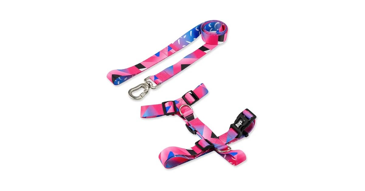 Melhores coleiras para cachorro de porte pequeno: 8 Opções Seguras