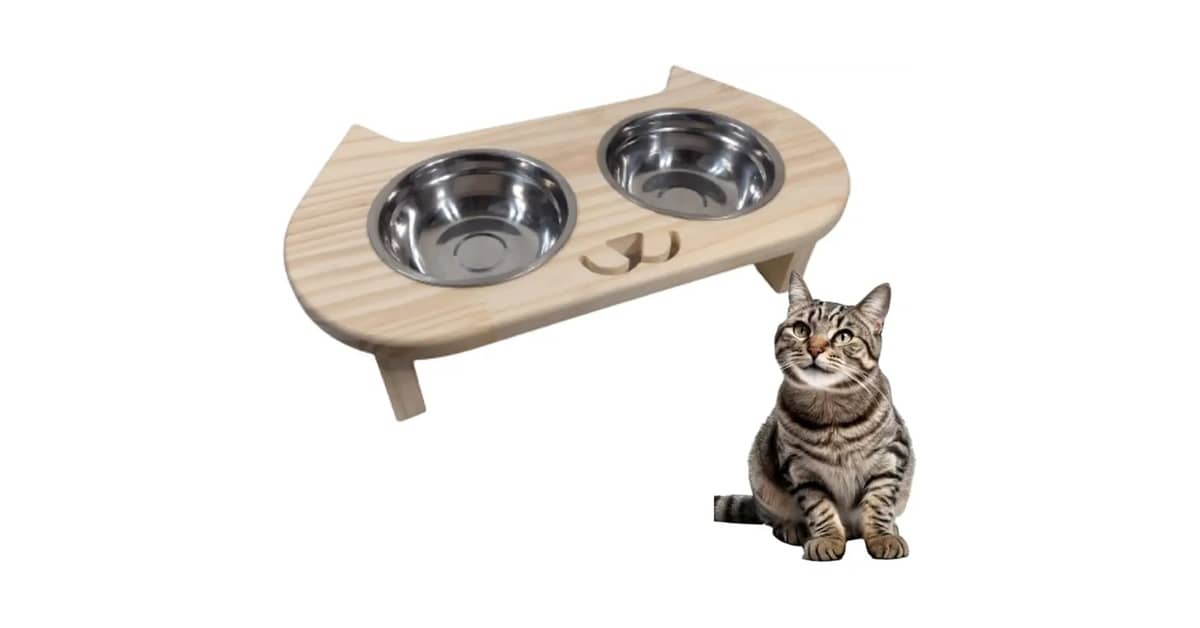 Melhores Comedouros Elevados Para Gato: Guia Saúde