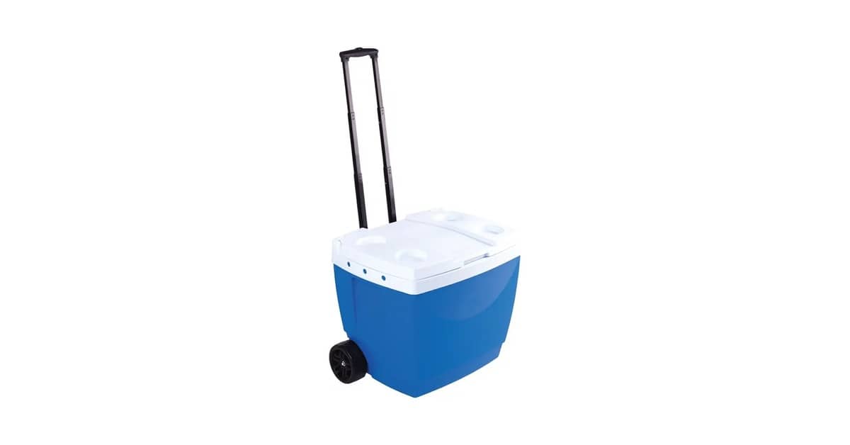 Melhores coolers com rodinha: Do Compacto ao 75L