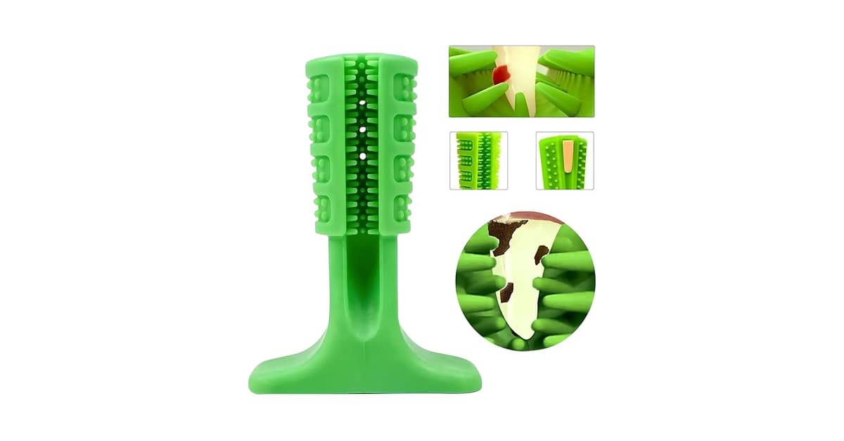 Melhores Escovas de Dente Para Cachorro de Porte Pequeno: Qual a Ideal?