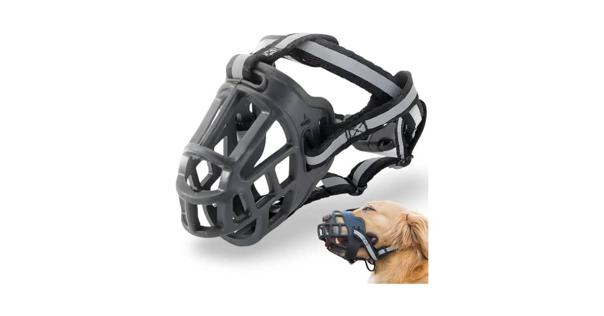 Melhores Focinheiras Para Cachorro: Guia de Compra