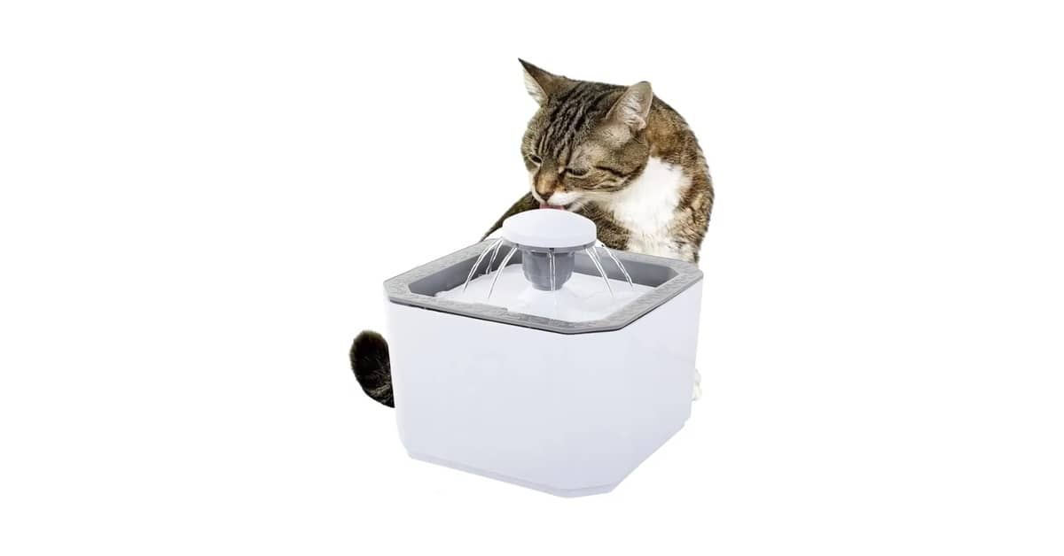 Melhores Fontes de Água Automáticas para Gatos?