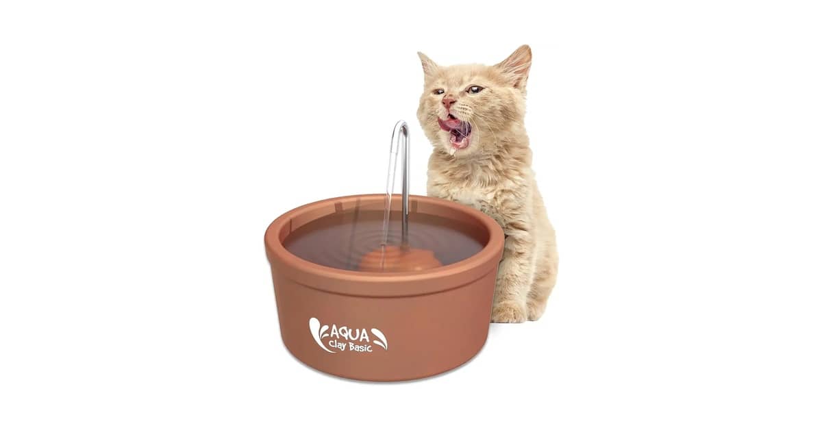 Melhores Fontes de Água Para Gatos de Cerâmica: Top 10 Analisadas