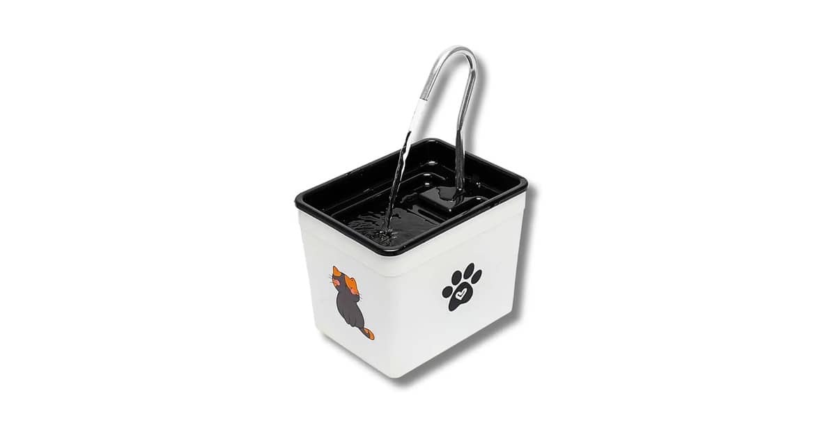 Melhores fontes de água para gatos: Guia de Compra