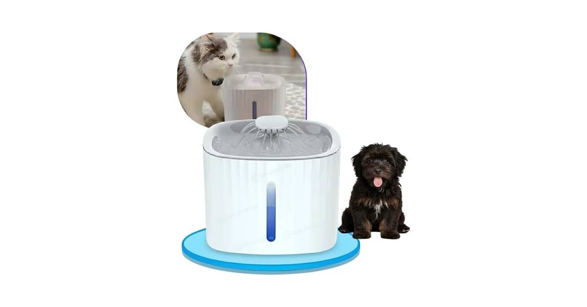 Melhores Fontes Para Gatos com Filtro: Hidratação Pura