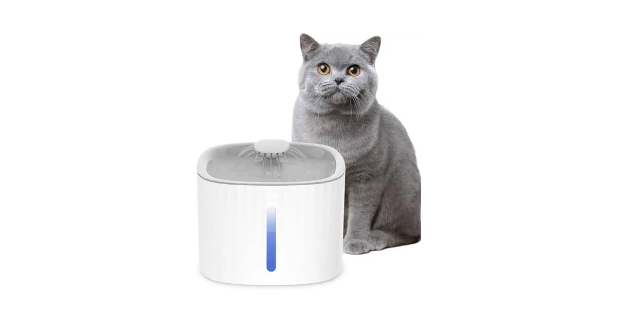 Melhores Fontes Para Gatos com Filtro e Luz Noturna: 3 Opções Com LED