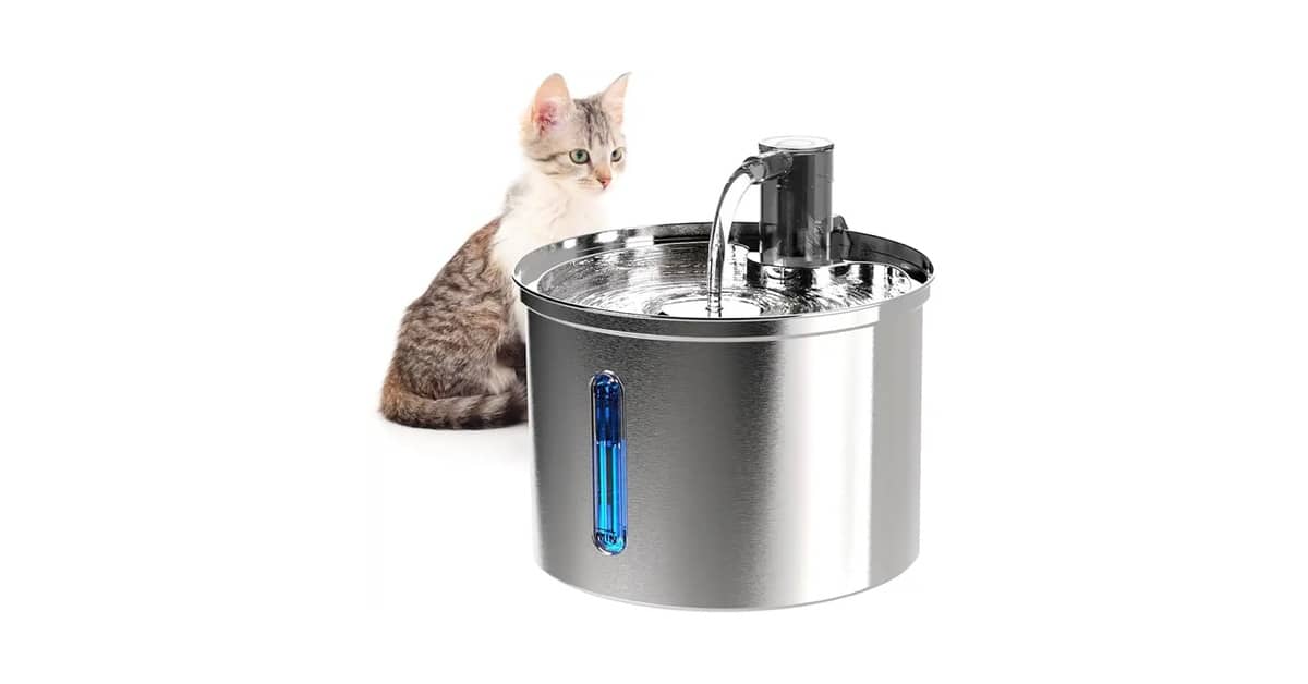 Melhores Fontes Para Gatos Com Vários Níveis de Água: Inox ou Sem Fio?