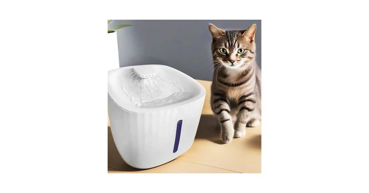 Melhores Fontes Para Gatos Que Não Fazem Barulho?