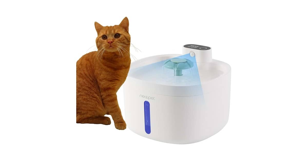 Melhores Fontes Para Gatos Que Não Usam Eletricidade?