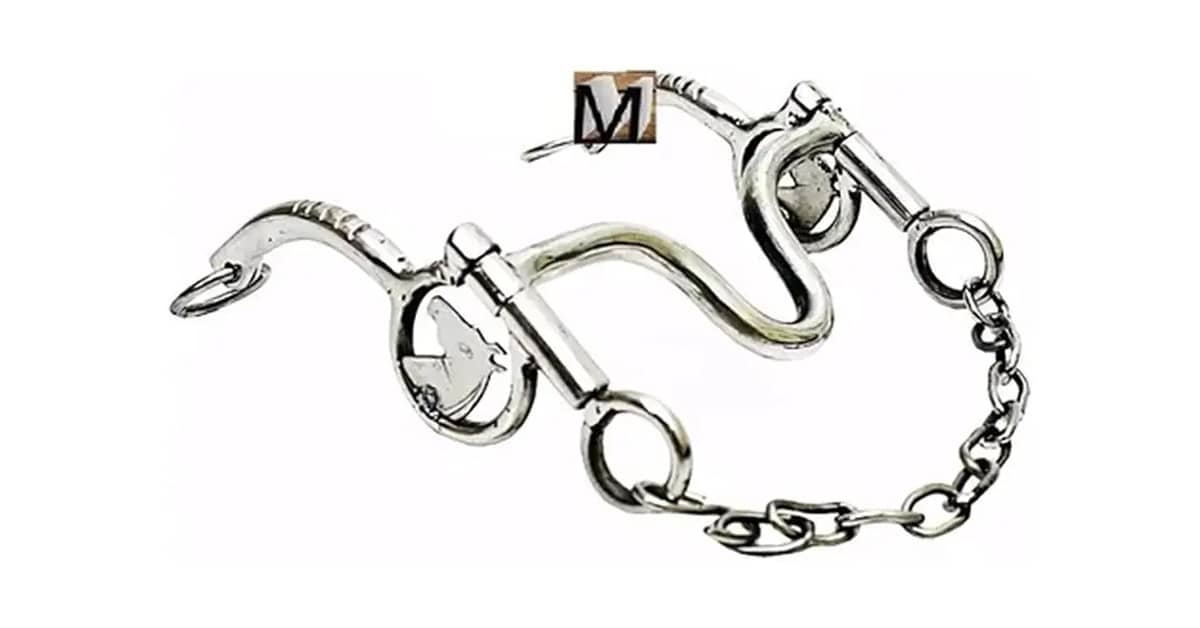 Melhores Freios Para Cavalo: Guia de Tipos e Ações