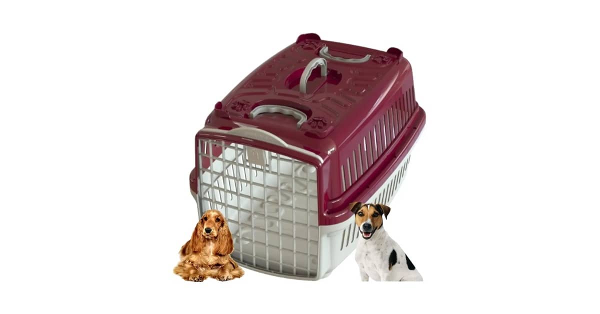 Melhores gaiolas para transporte aéreo de pet: Qual Escolher?