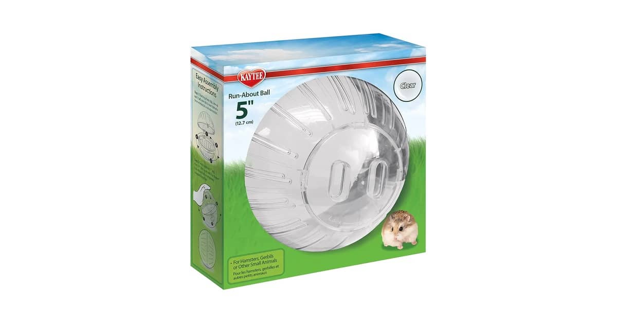 Melhores Globos de Exercício Para Hamster: É Seguro?