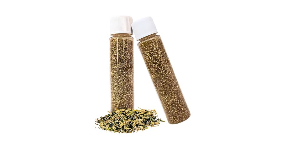 Melhores Gramas Para Gato (Catnip): Qual A Melhor?
