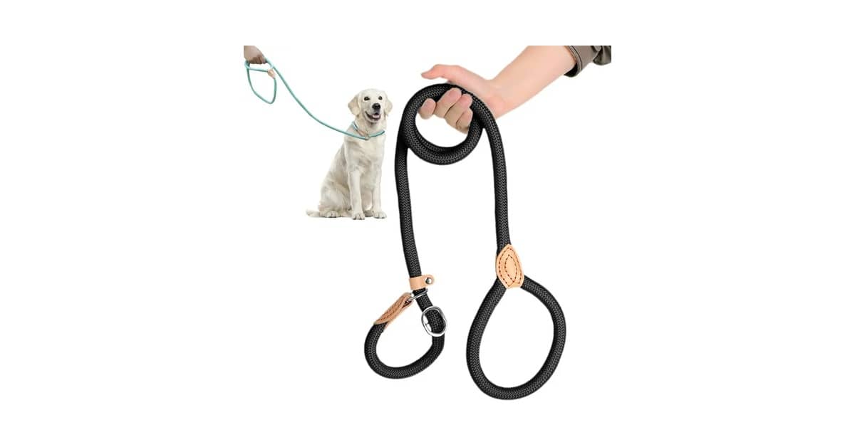 Melhores Guias de Adestramento Para Cães: Top 7