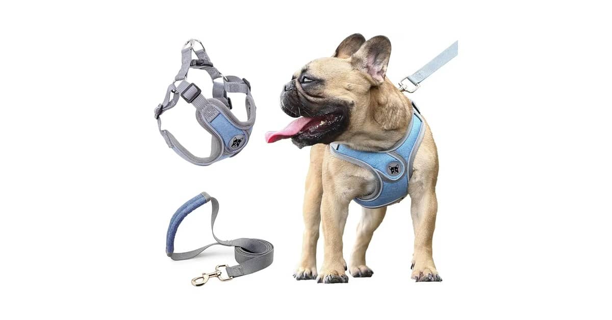 Melhores Guias Para Corrida Com Cachorro: Análise