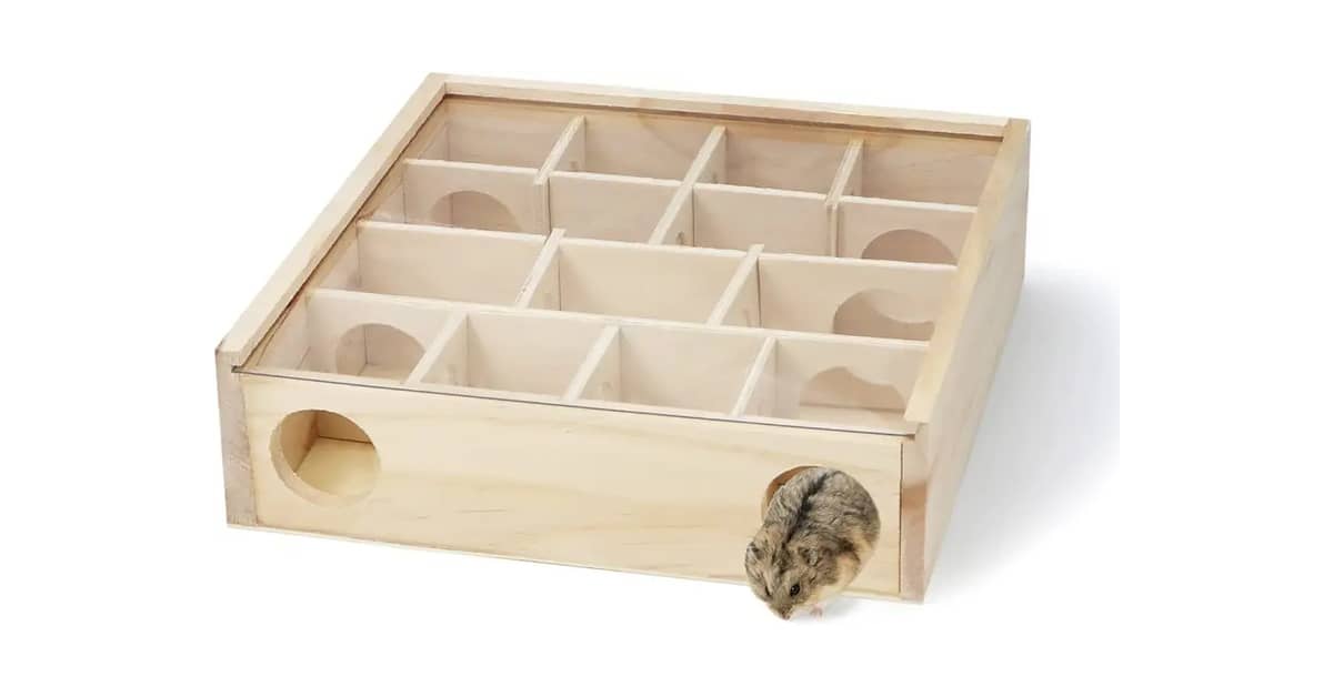 Melhores Labirintos Para Hamster: Estimule Seu Pet