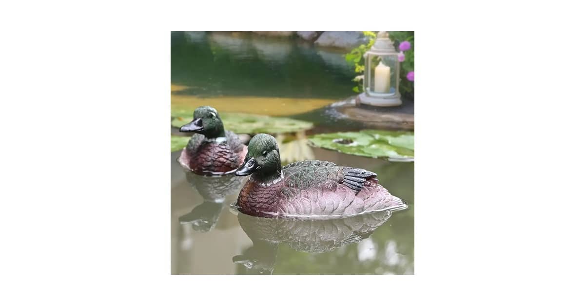 Melhores Lagos Para Patos e Gansos: 4 Decorações