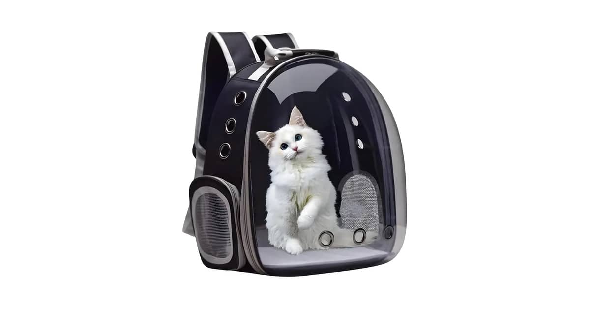 Melhores mochilas transparentes para gato: Qual a ideal?