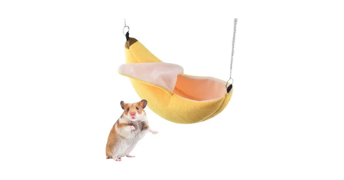 Melhores Ninhos de Algodão para Hamster: 10 Opções