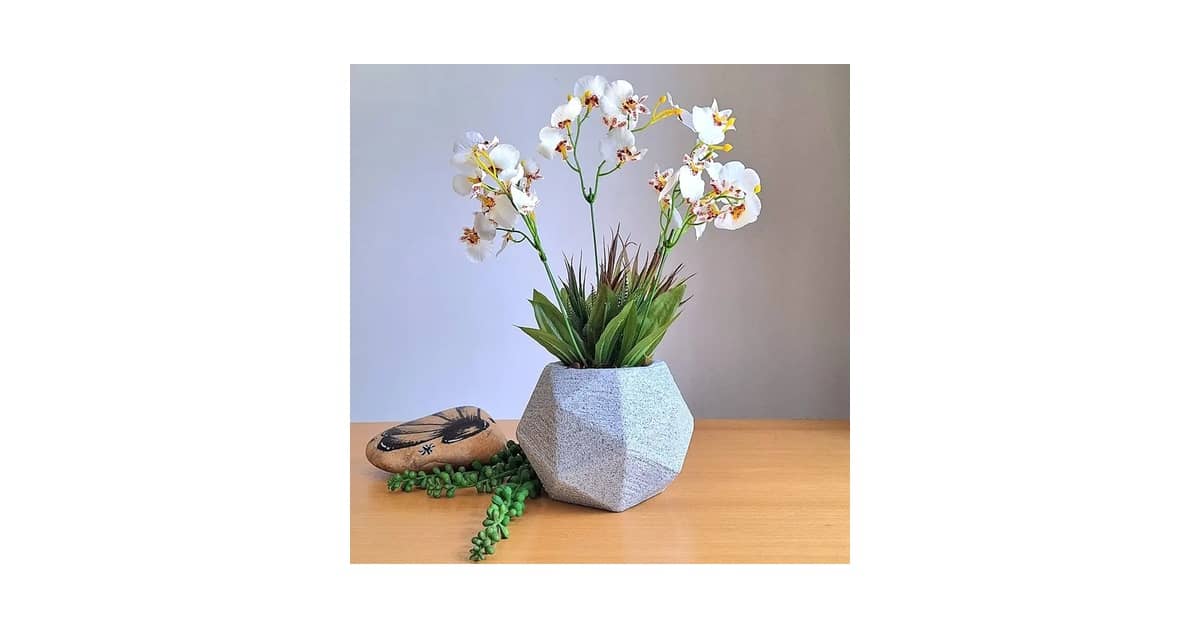 Melhores Orquídeas Para Cultivar Dentro de Casa?