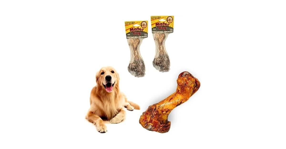 Melhores Ossos Para Cachorro Roer: Qual O Ideal?