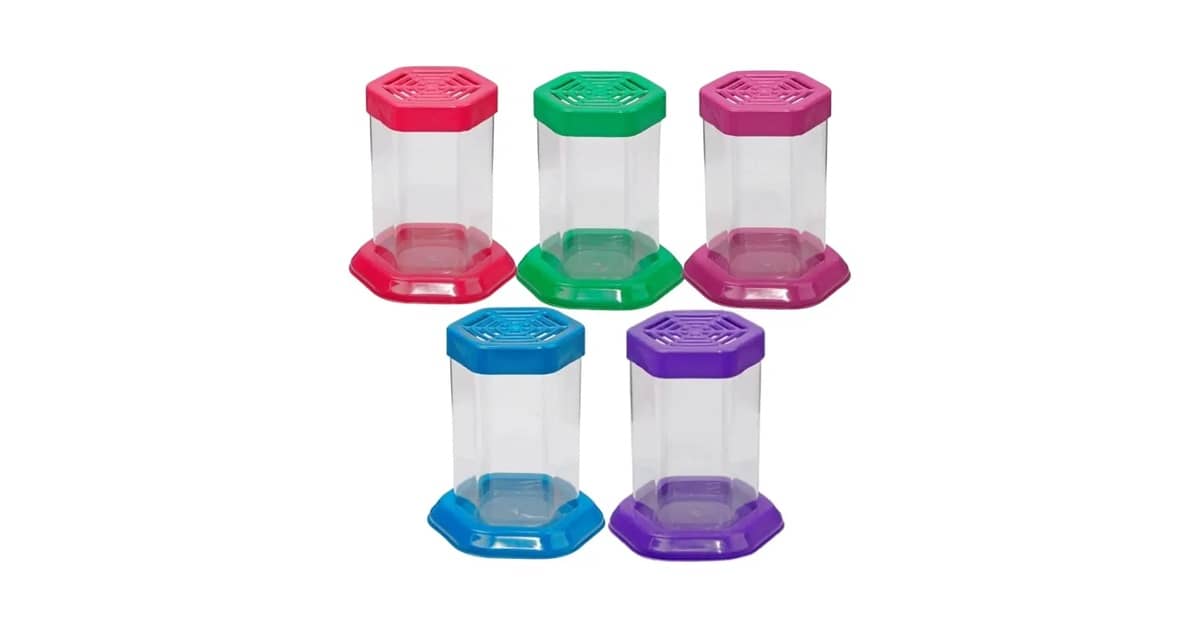 Melhores peixes para aquário pequeno: 7 Kits Ideais