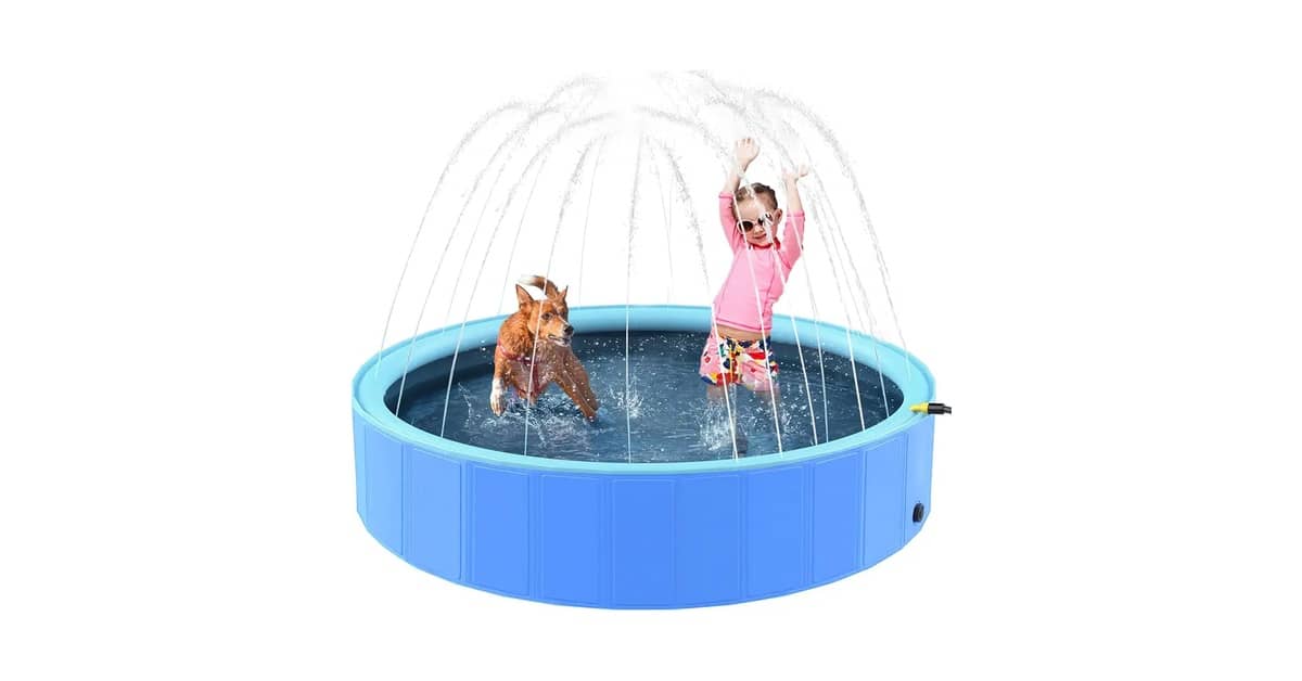 Melhores piscinas para cachorro: Do P ao GG, a ideal!