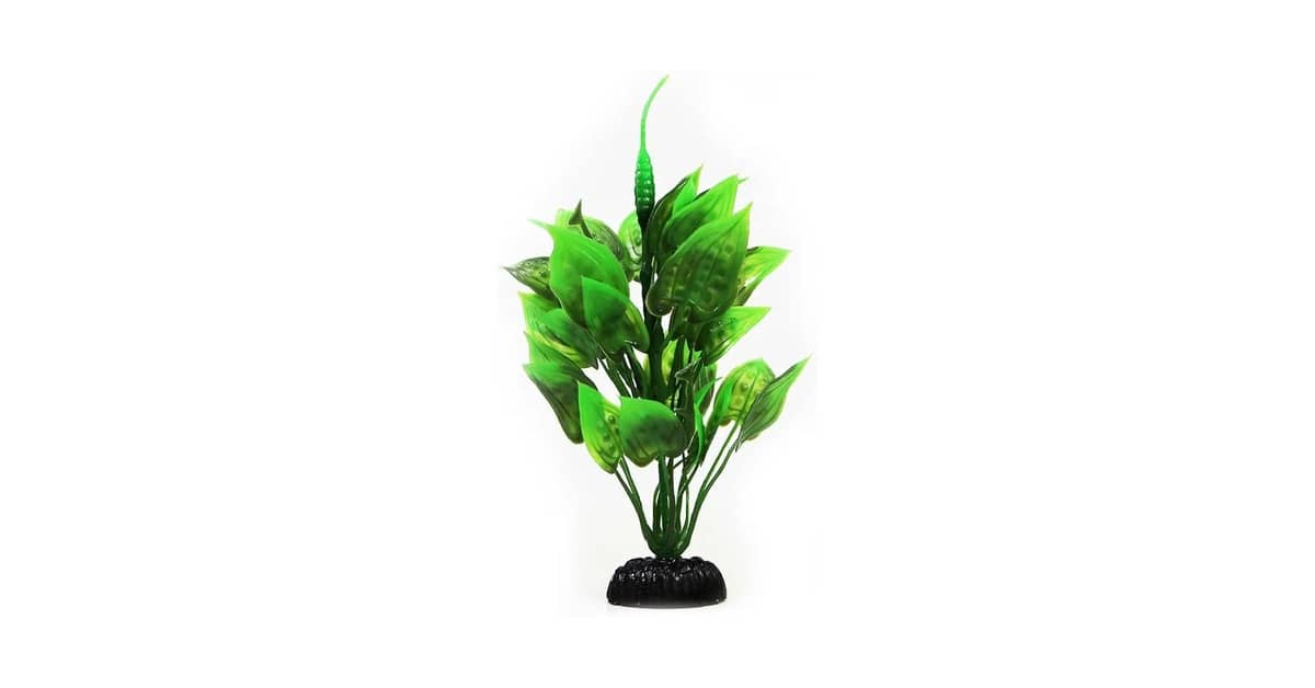 Melhores Plantas Para Aquário Low Tech: Como Escolher?