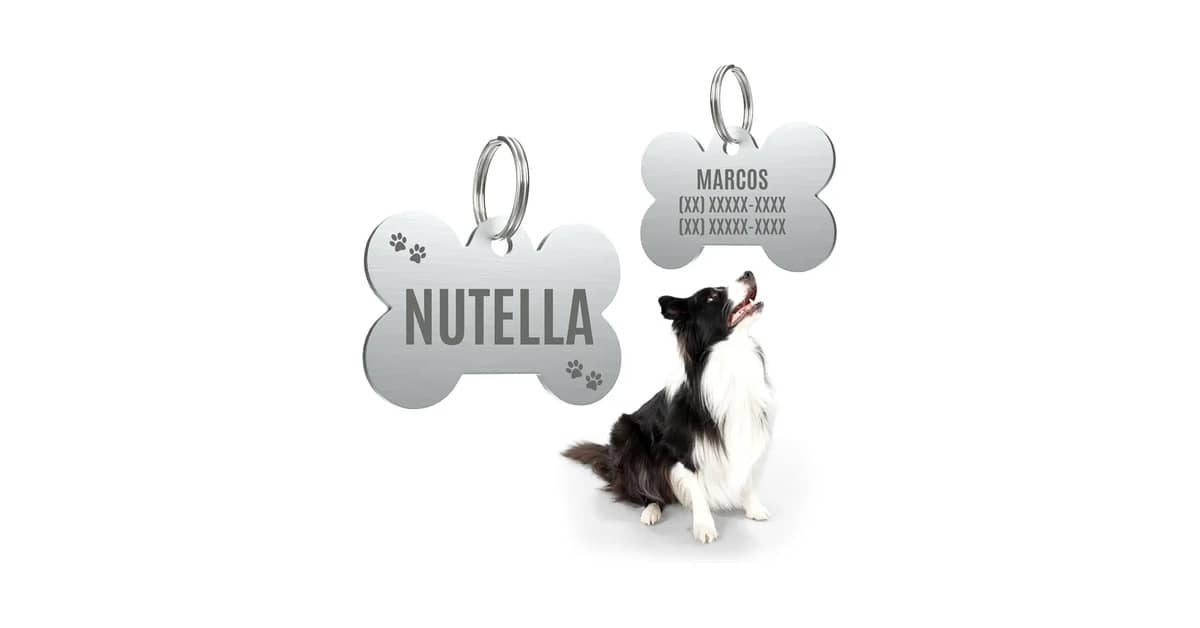 Melhores plaquinhas de identificação para pet: A ideal?