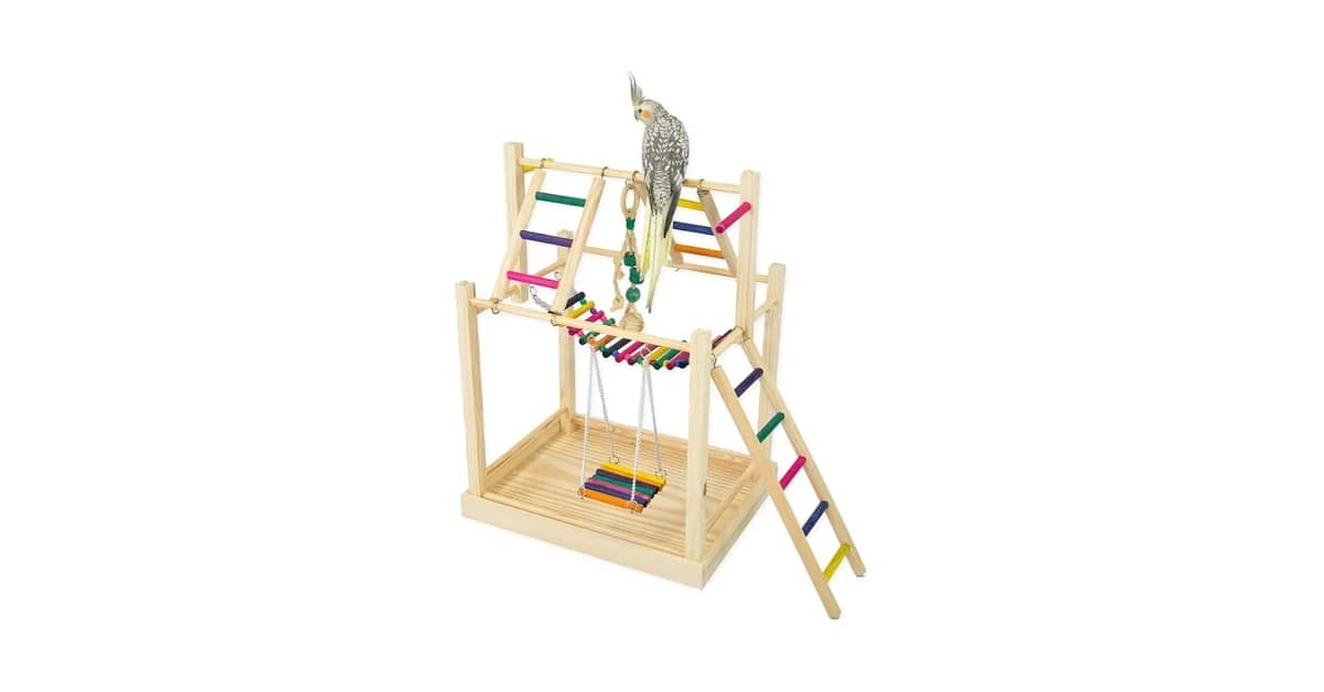 Melhores Playgrounds para Calopsita: Qual o Ideal?