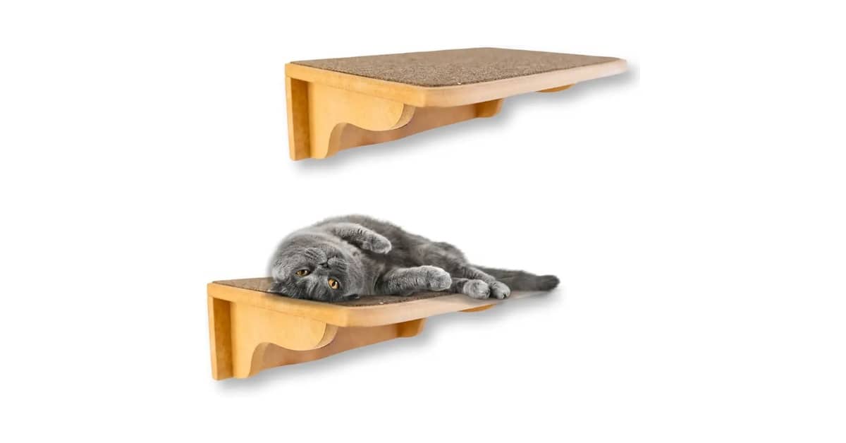 Melhores prateleiras para gatos para parede? Guia!