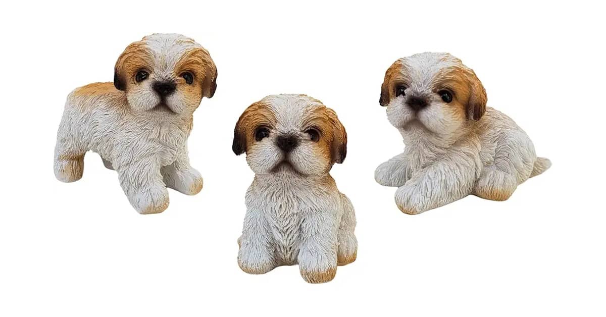Melhores Presentes Para Quem Ama Cachorros: Do Pet ao Dono
