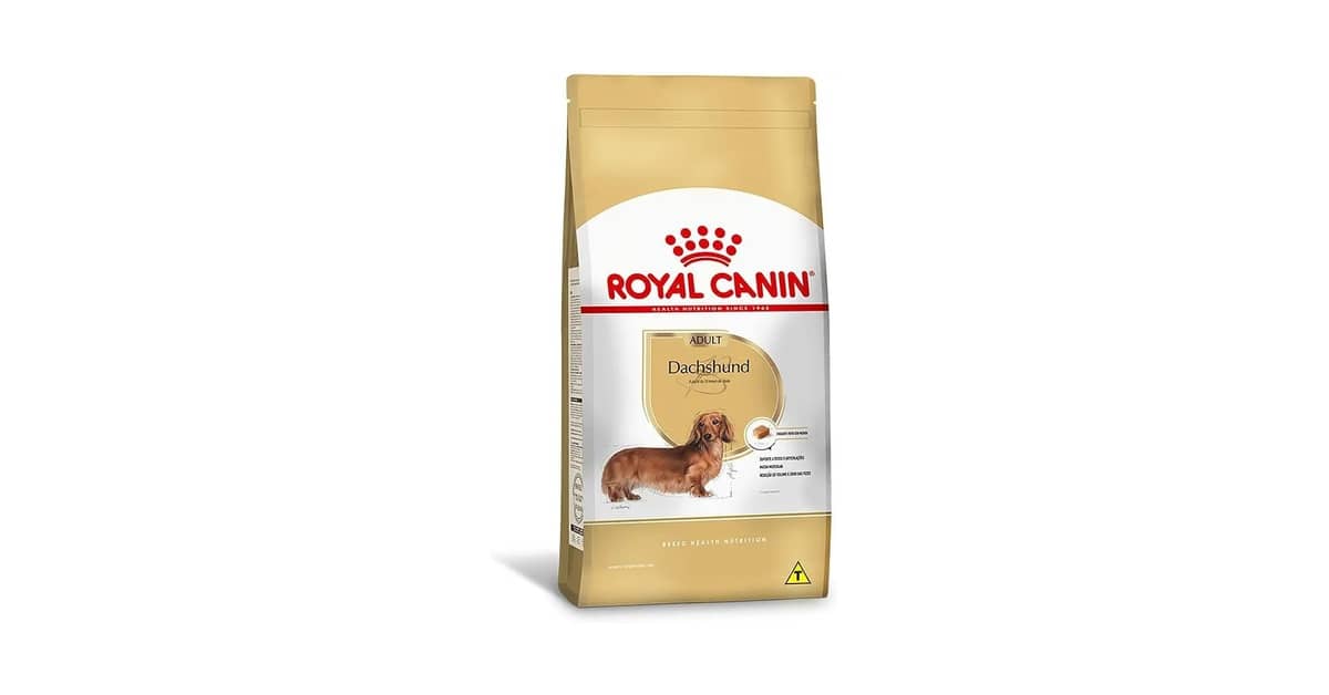 Melhores rações para cães da raça dachshund (salsicha): Qual a Ideal?