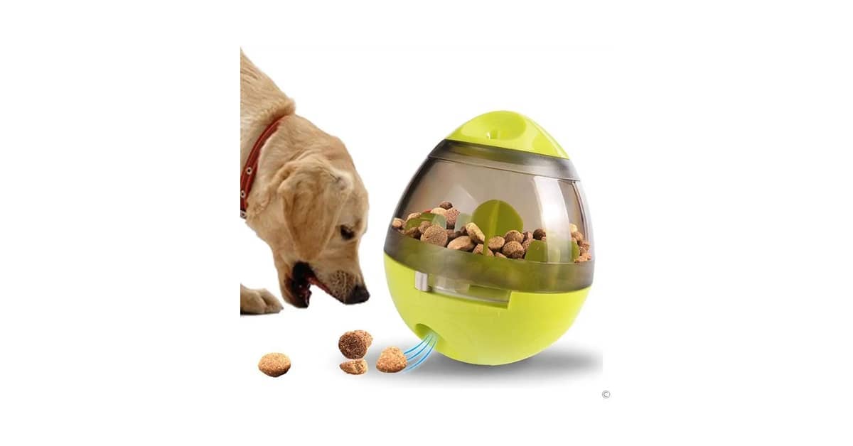 Melhores Rações Para Cães da Raça Lakeland Terrier?