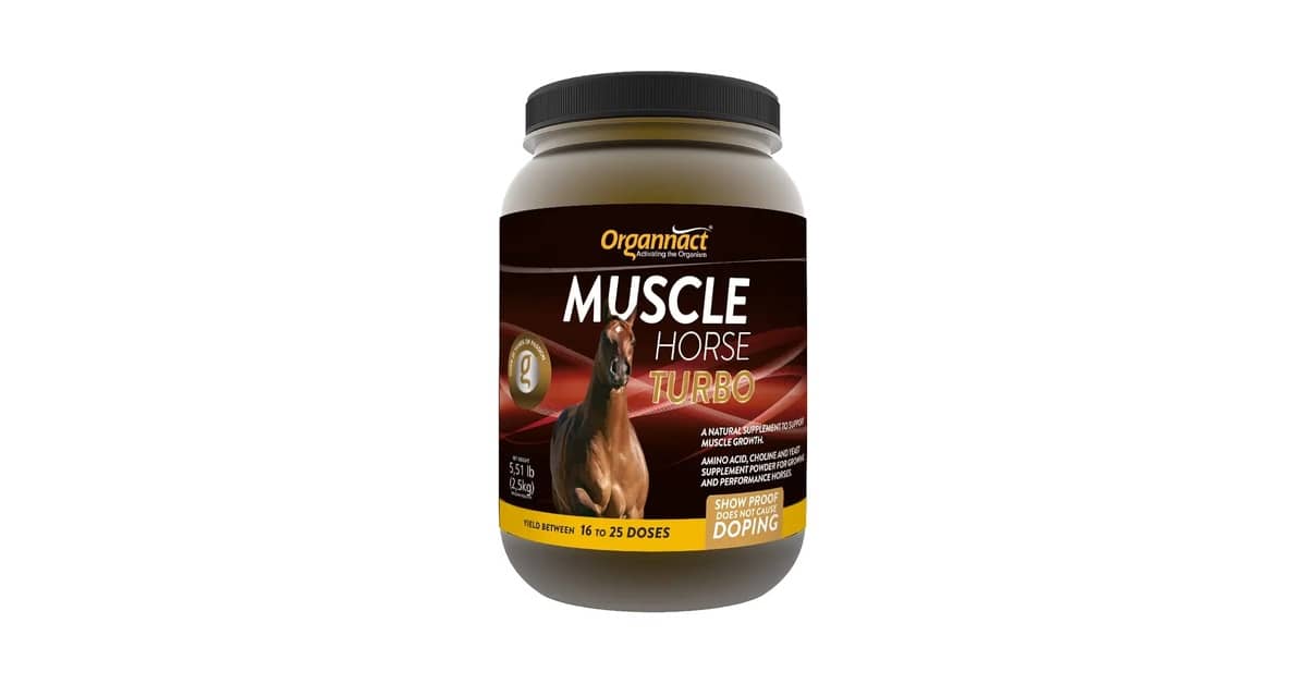 Melhores Rações Para Cavalo Atleta: 5 Suplementos
