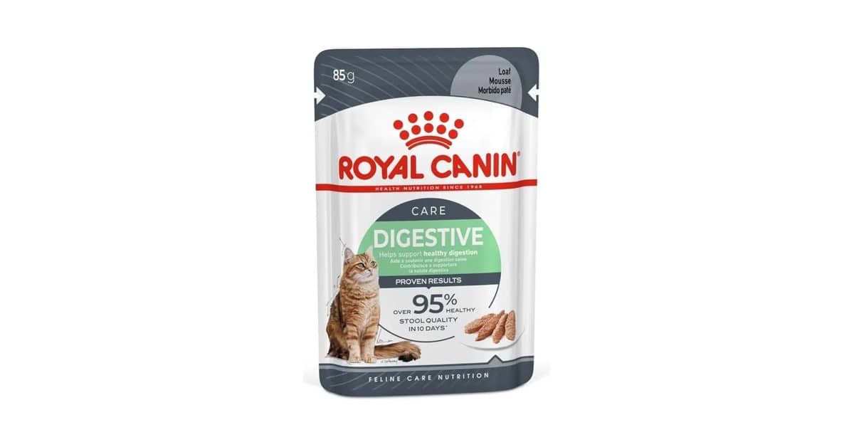 Melhores Rações Para Gatos Com Sensibilidade Digestiva