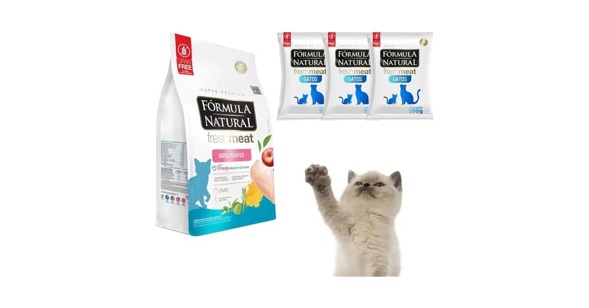 Melhores Rações Premium Para Gato: Guia Nutricional