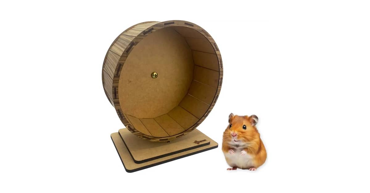 Melhores Rodinhas de Exercício Para Hamster: Guia Silencioso